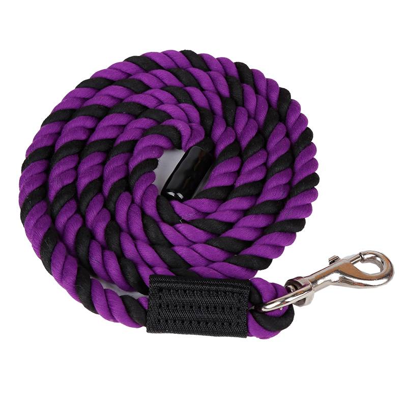 Purple + Black